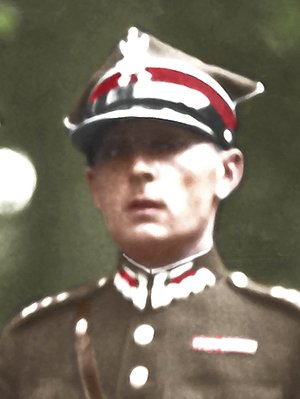 Henryk Leliwa-Roycewicz