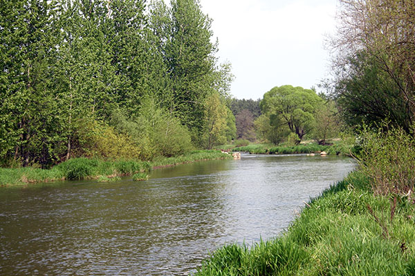 Liswarta – zdjęcie współczesne. Źródło: domena publiczna